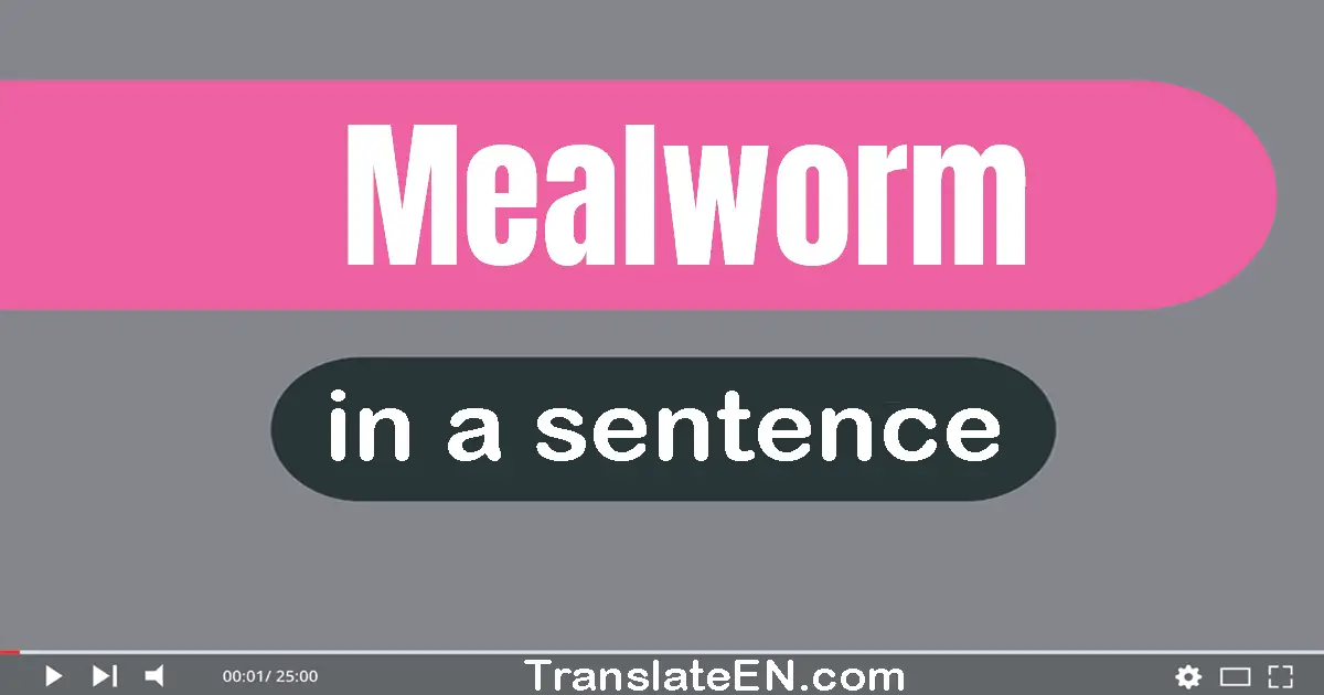 Use "mealworm" in a sentence | "mealworm" sentence examples