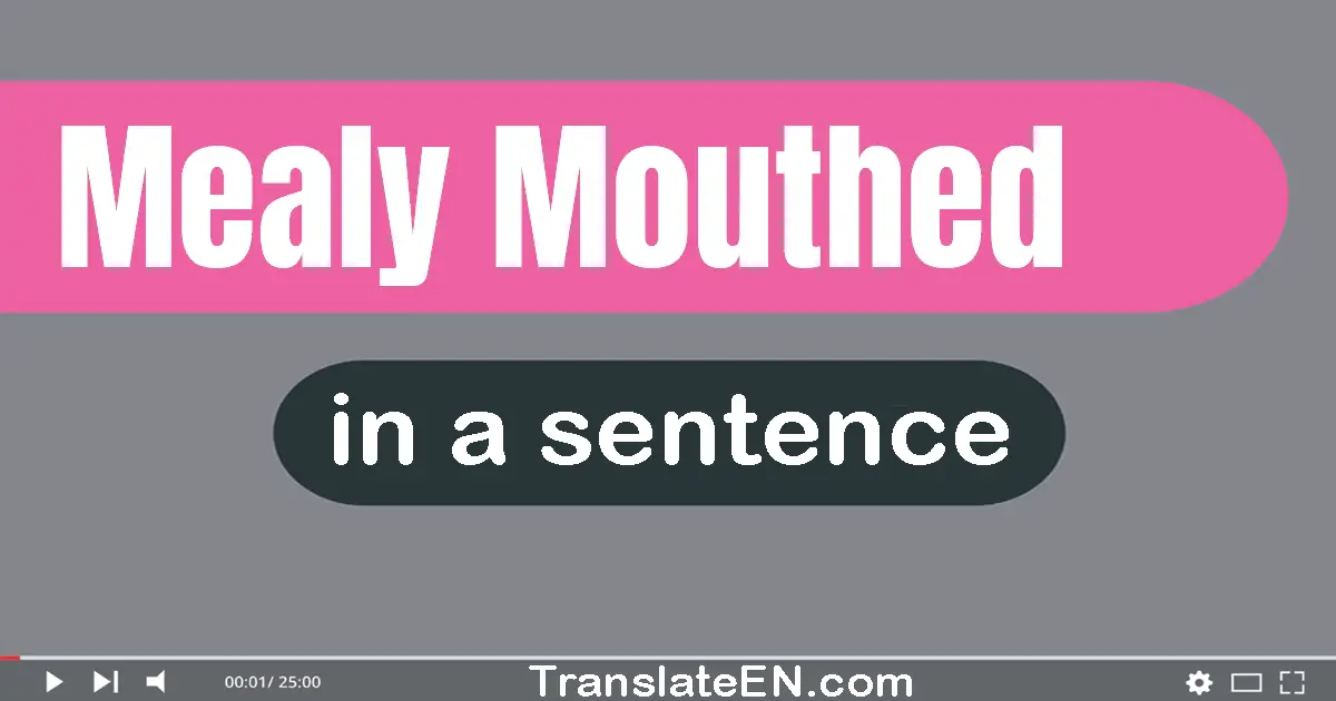 Use "mealy-mouthed" in a sentence | "mealy-mouthed" sentence examples