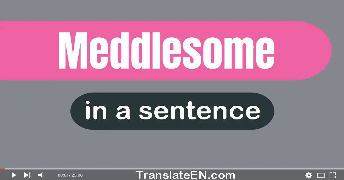 Use "meddlesome" in a sentence | "meddlesome" sentence examples