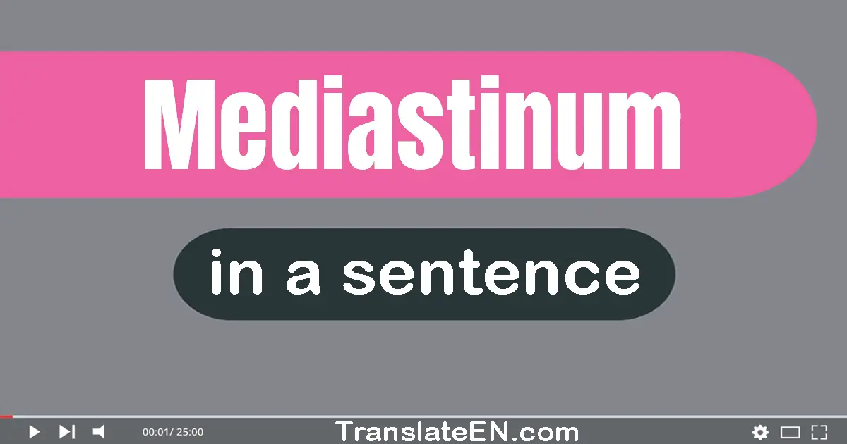 Use "mediastinum" in a sentence | "mediastinum" sentence examples