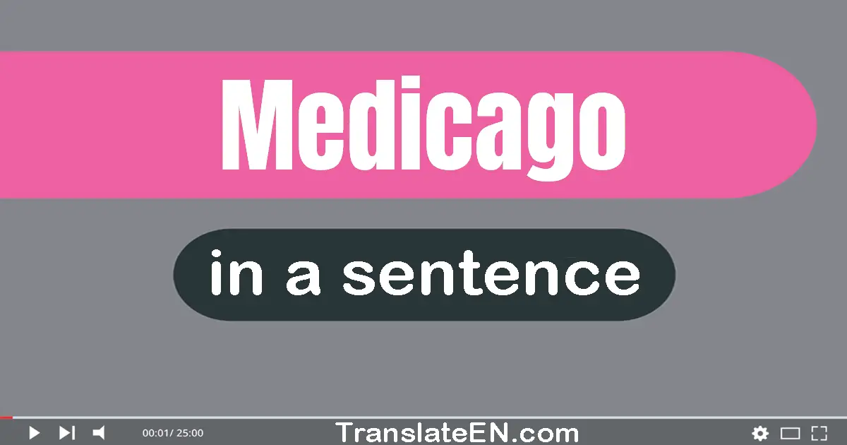 Medicago in a sentence