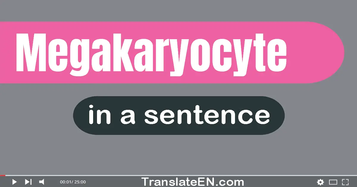 Megakaryocyte in a sentence