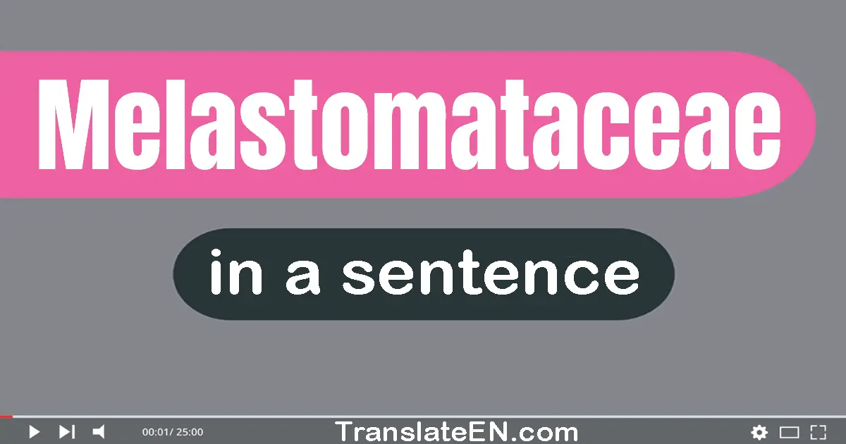 Melastomataceae in a sentence