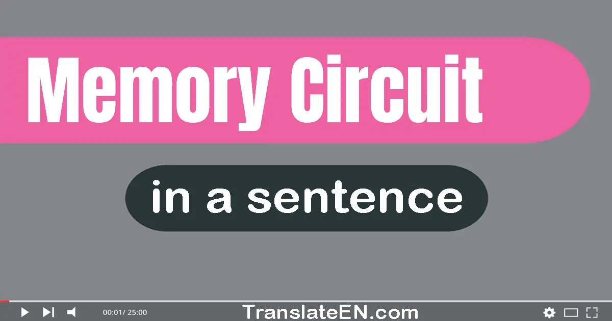 Use "memory circuit" in a sentence | "memory circuit" sentence examples