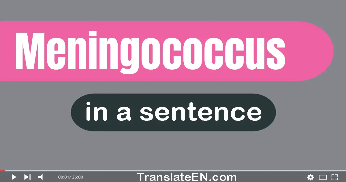 Meningococcus in a sentence