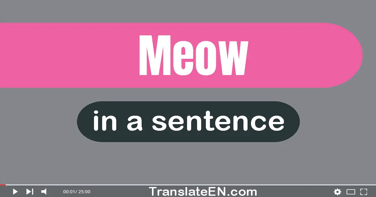 Meow in a sentence