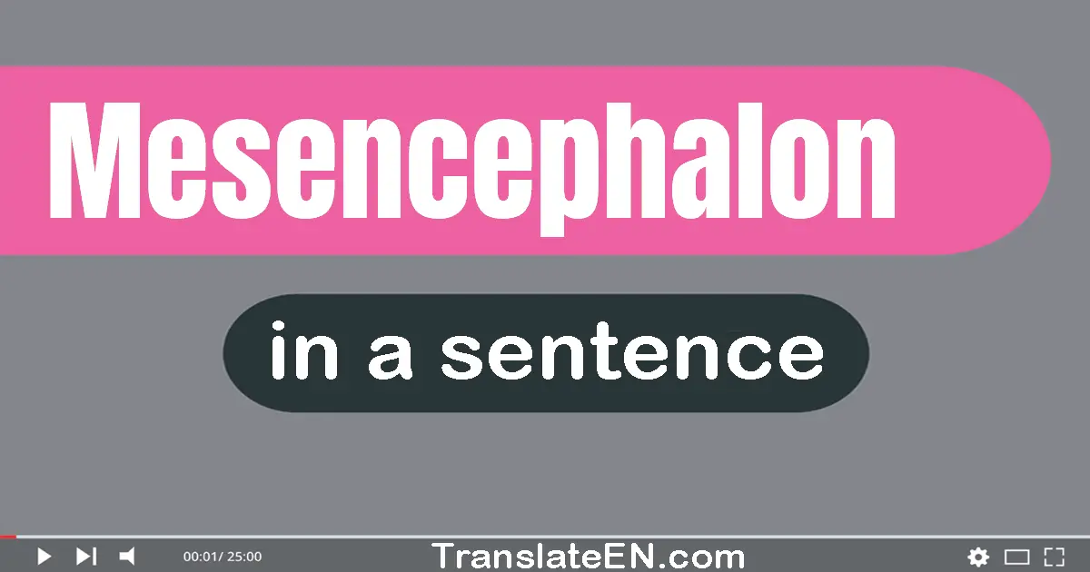 Mesencephalon in a sentence