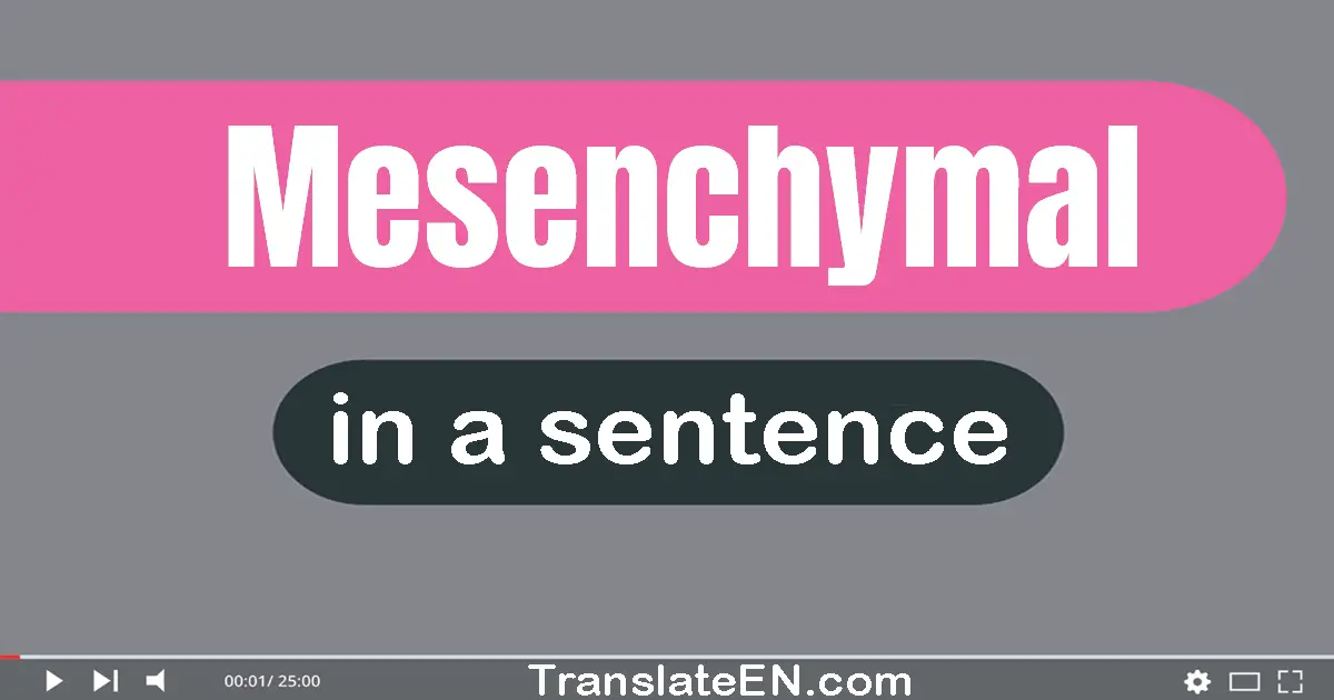 Mesenchymal in a sentence