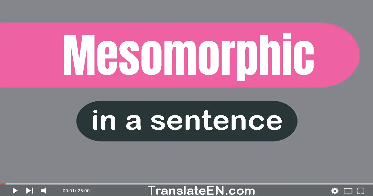 Use "mesomorphic" in a sentence | "mesomorphic" sentence examples