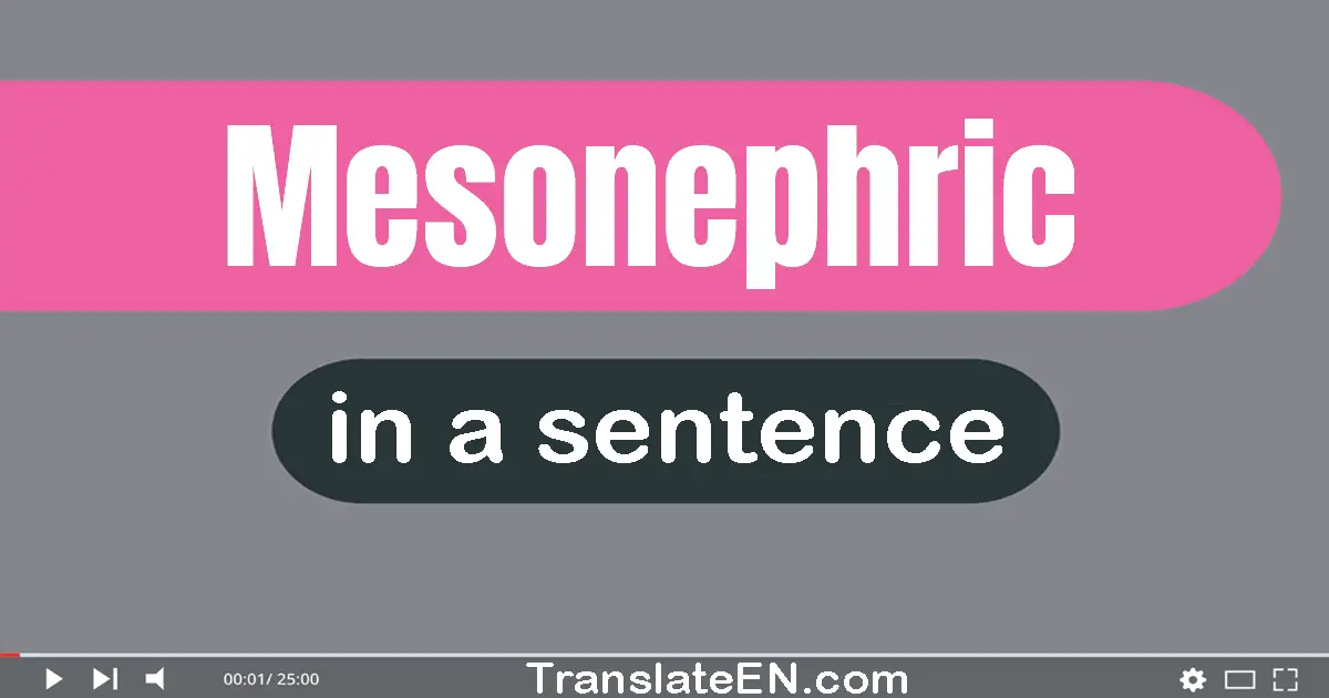 Use "mesonephric" in a sentence | "mesonephric" sentence examples