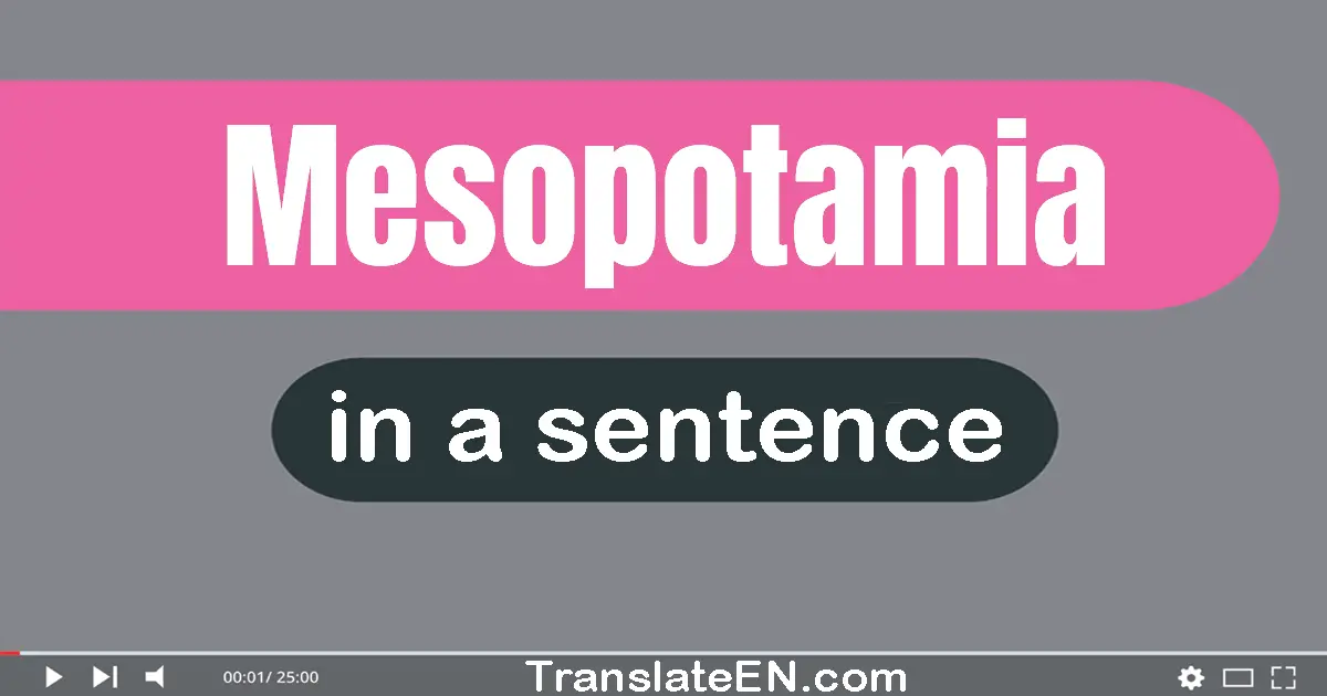 Use "mesopotamia" in a sentence | "mesopotamia" sentence examples