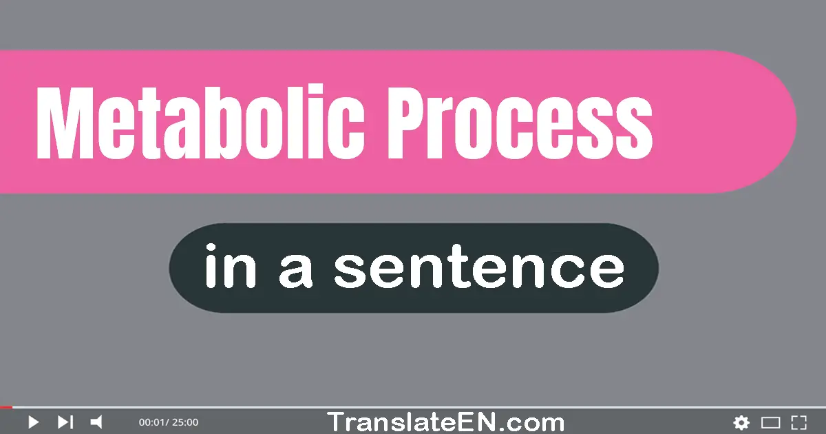 Metabolic Process in a sentence