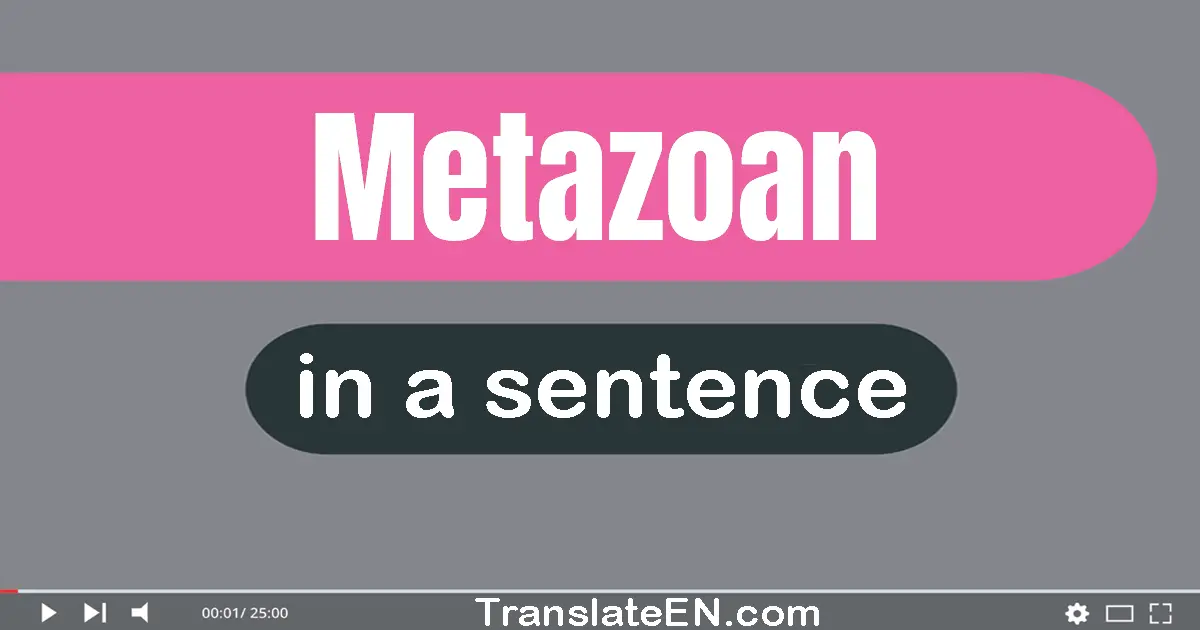 Use "metazoan" in a sentence | "metazoan" sentence examples