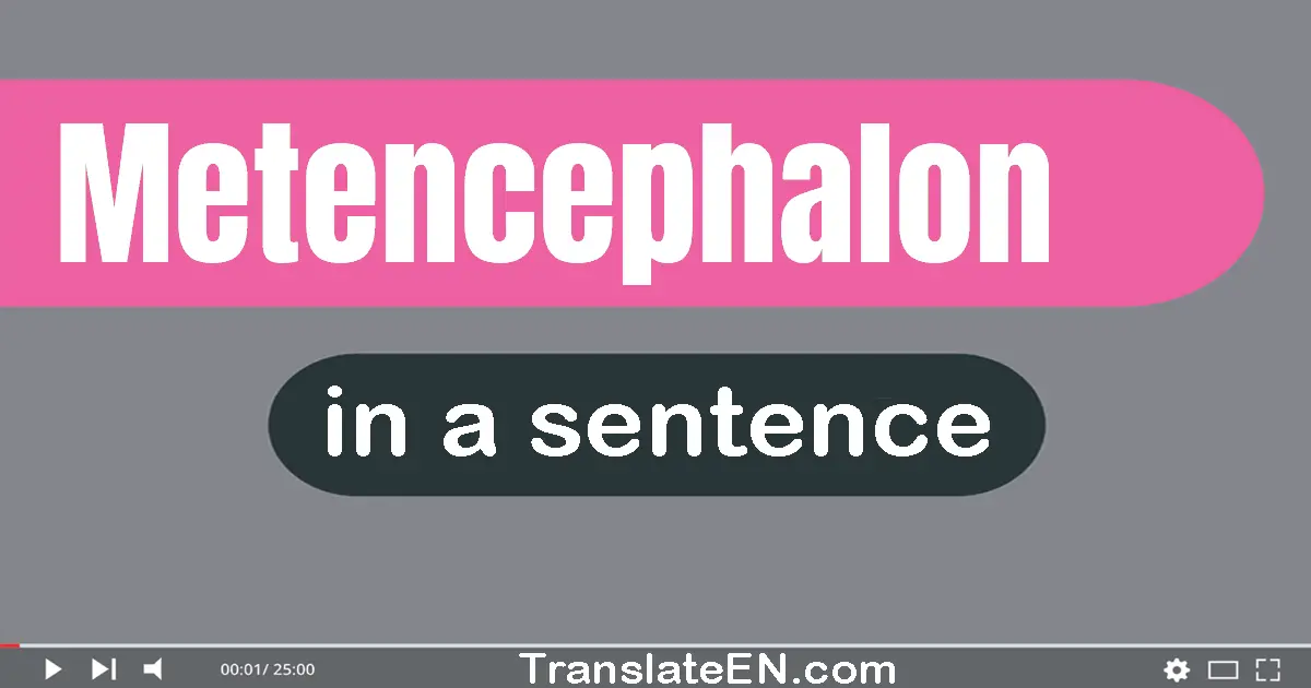 Use "metencephalon" in a sentence | "metencephalon" sentence examples