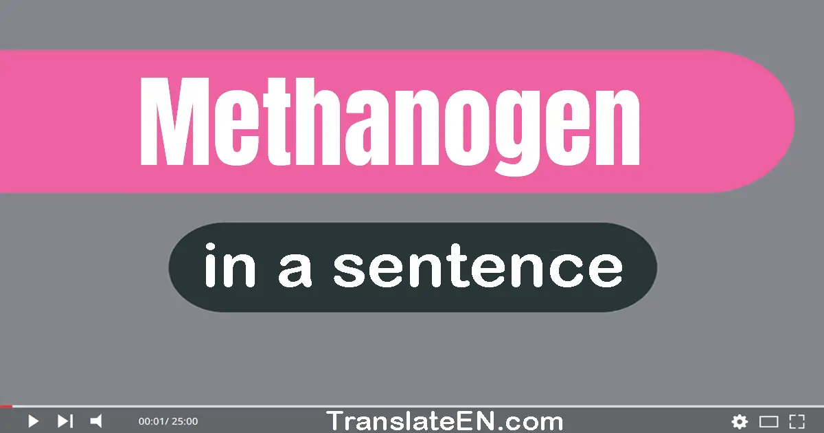 Methanogen in a sentence