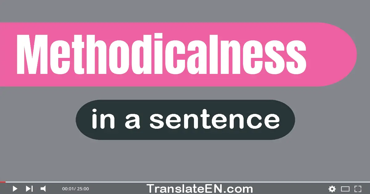 Methodicalness in a sentence