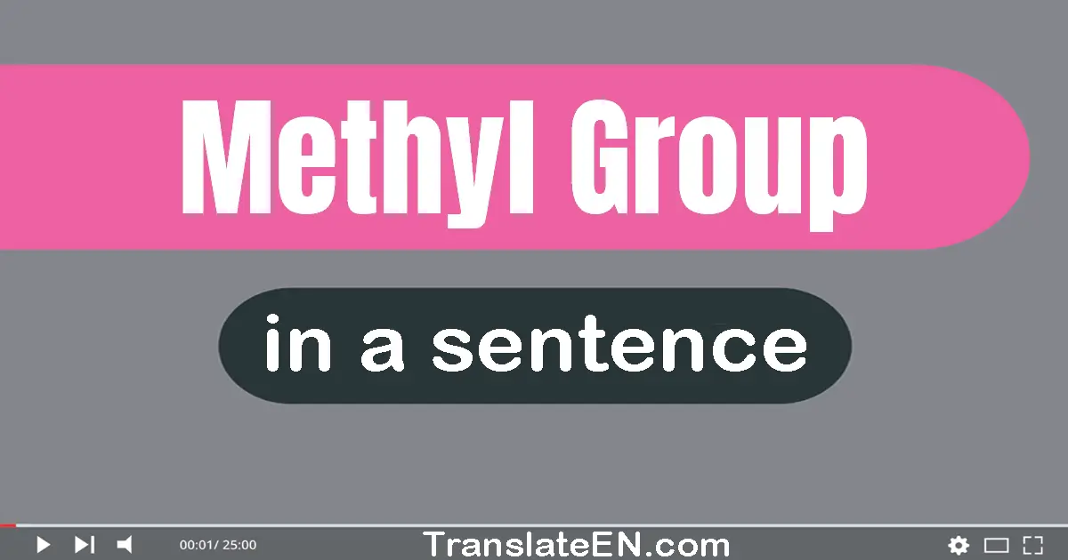 Methyl Group in a sentence