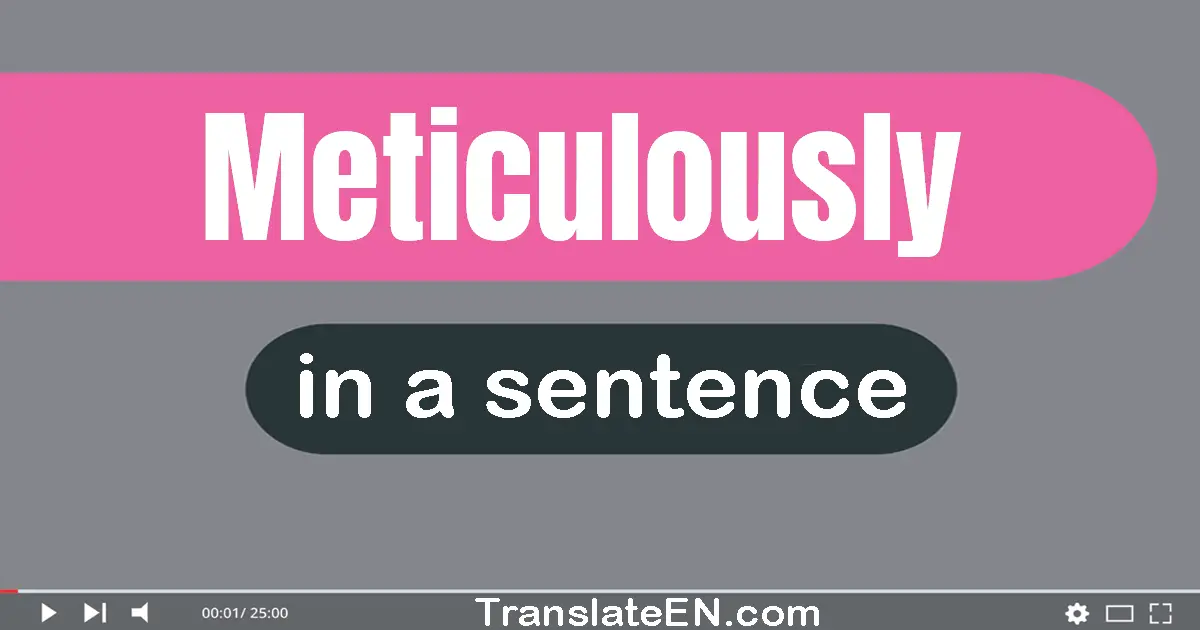 Use "meticulously" in a sentence | "meticulously" sentence examples