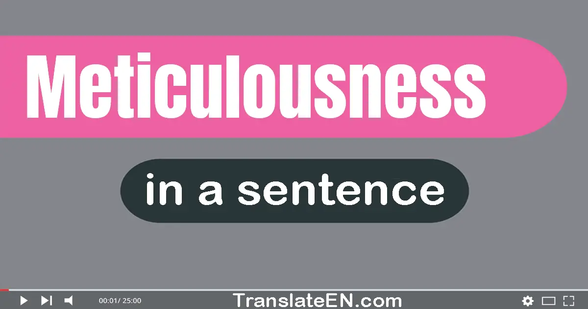 Meticulousness in a sentence