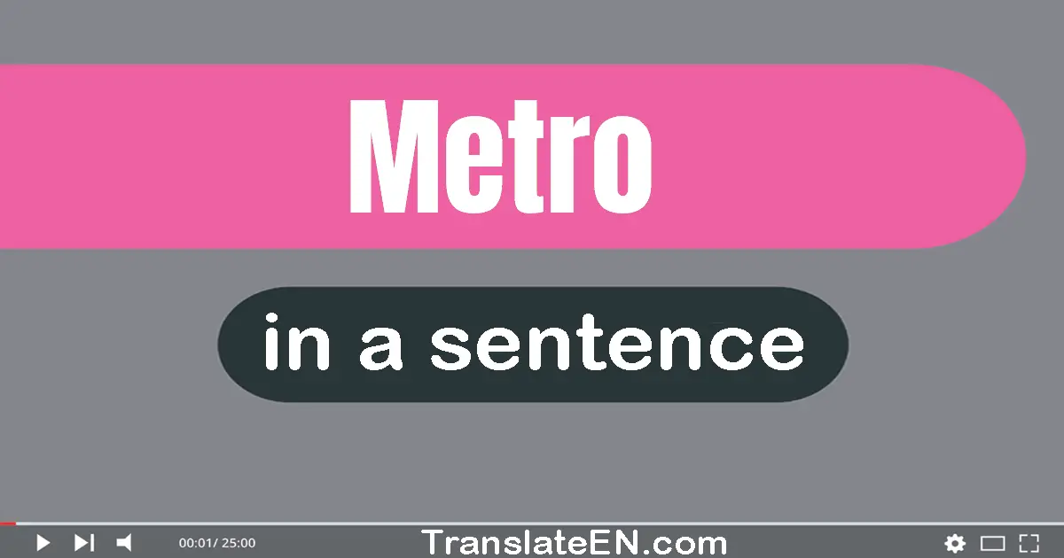 Use "metro" in a sentence | "metro" sentence examples