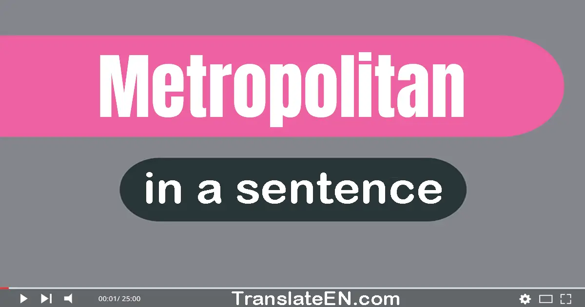 Use "metropolitan" in a sentence | "metropolitan" sentence examples