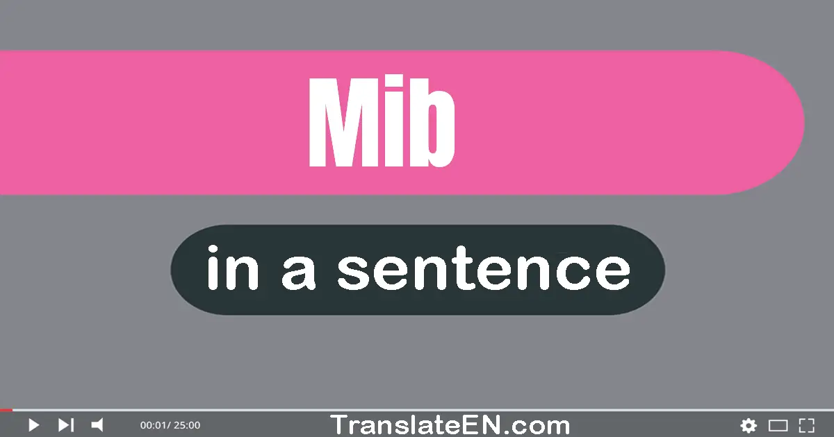 Use "MIB" in a sentence | "MIB" sentence examples