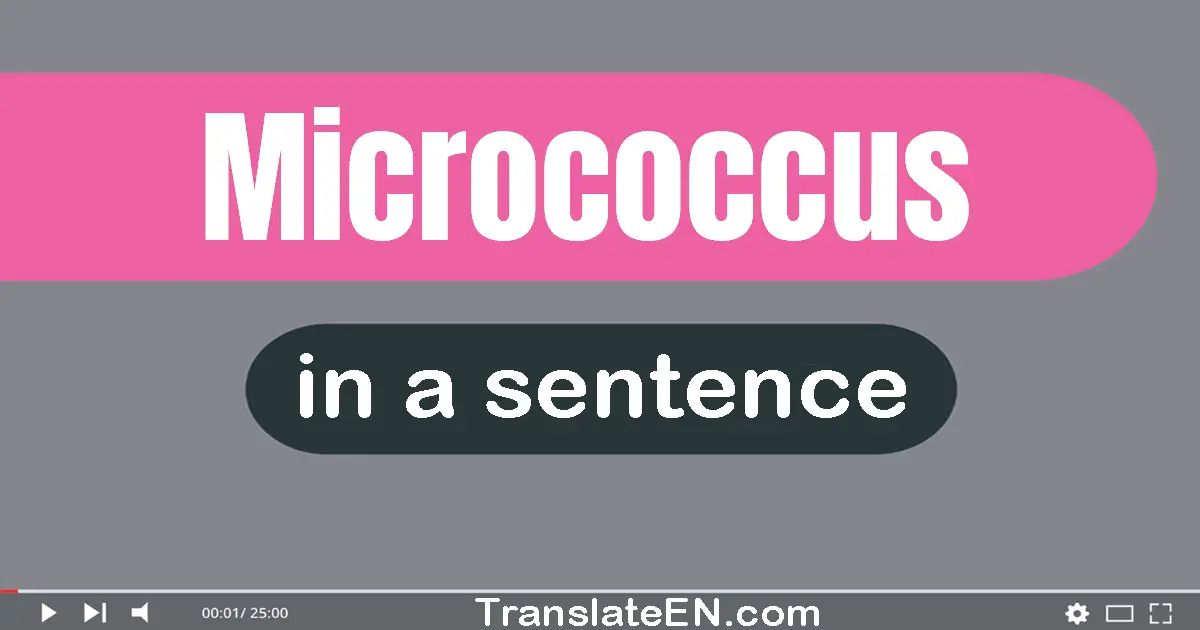 Micrococcus in a sentence