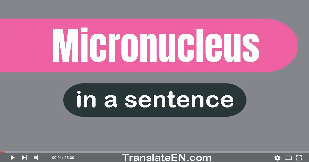 Micronucleus in a sentence