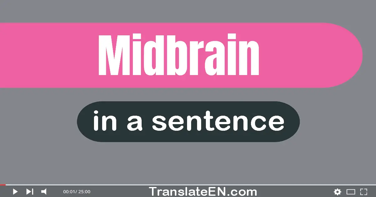 Midbrain in a sentence