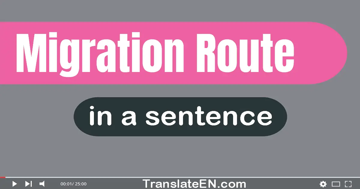 Use "migration route" in a sentence | "migration route" sentence examples