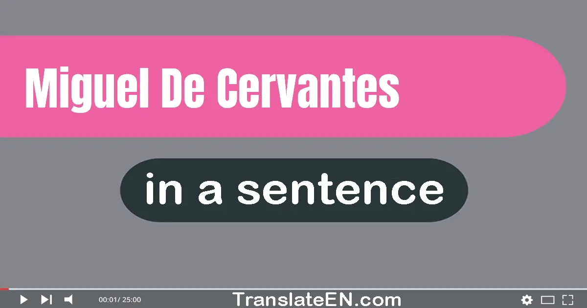 Use "miguel de cervantes" in a sentence | "miguel de cervantes" sentence examples