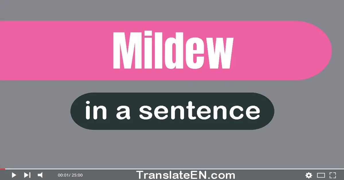 Use "mildew" in a sentence | "mildew" sentence examples