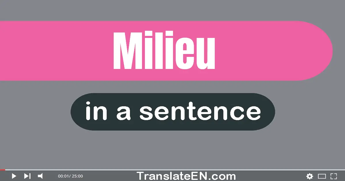 Use "milieu" in a sentence | "milieu" sentence examples