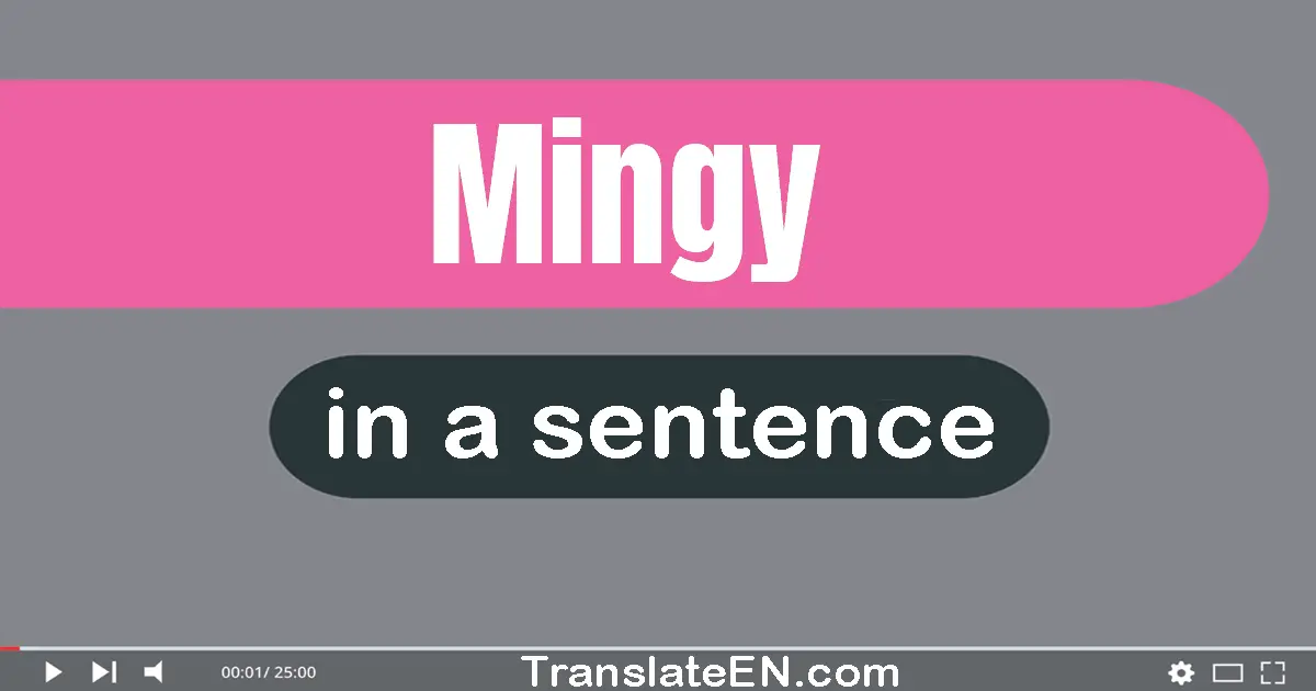 Mingy in a sentence