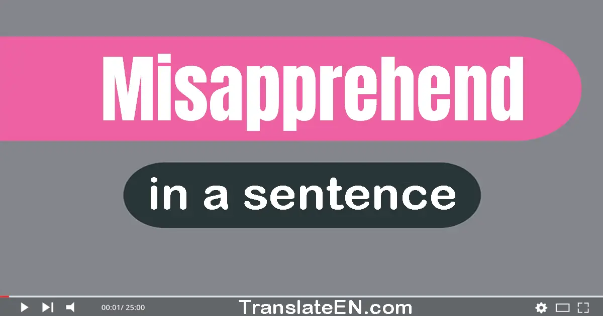 Misapprehend in a sentence