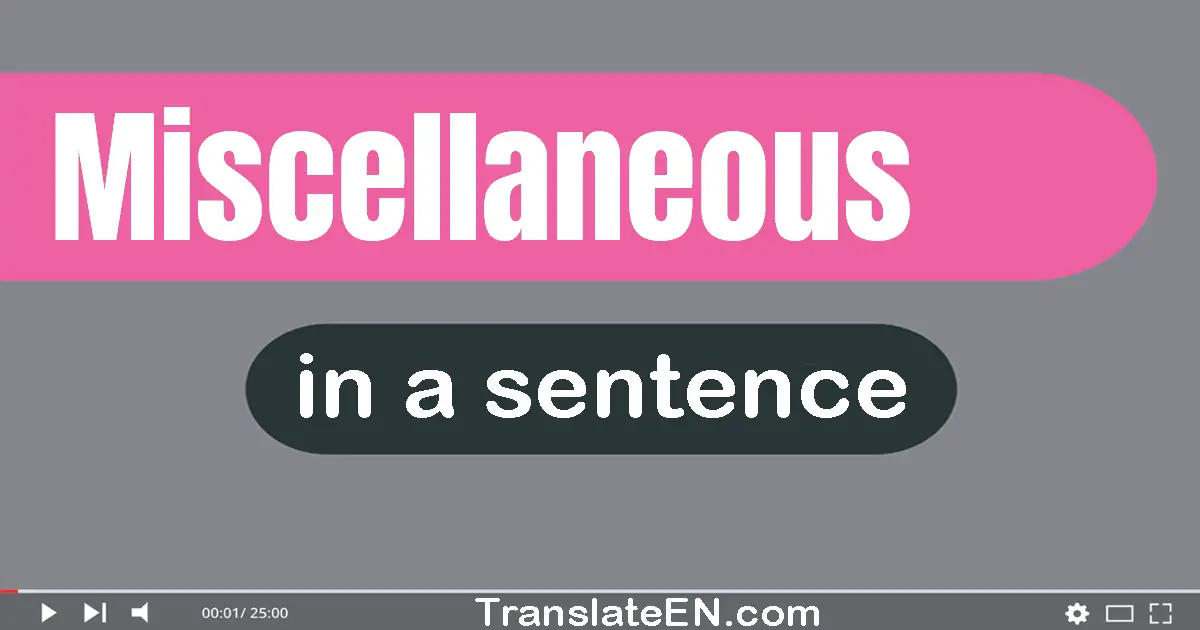 Use "miscellaneous" in a sentence | "miscellaneous" sentence examples