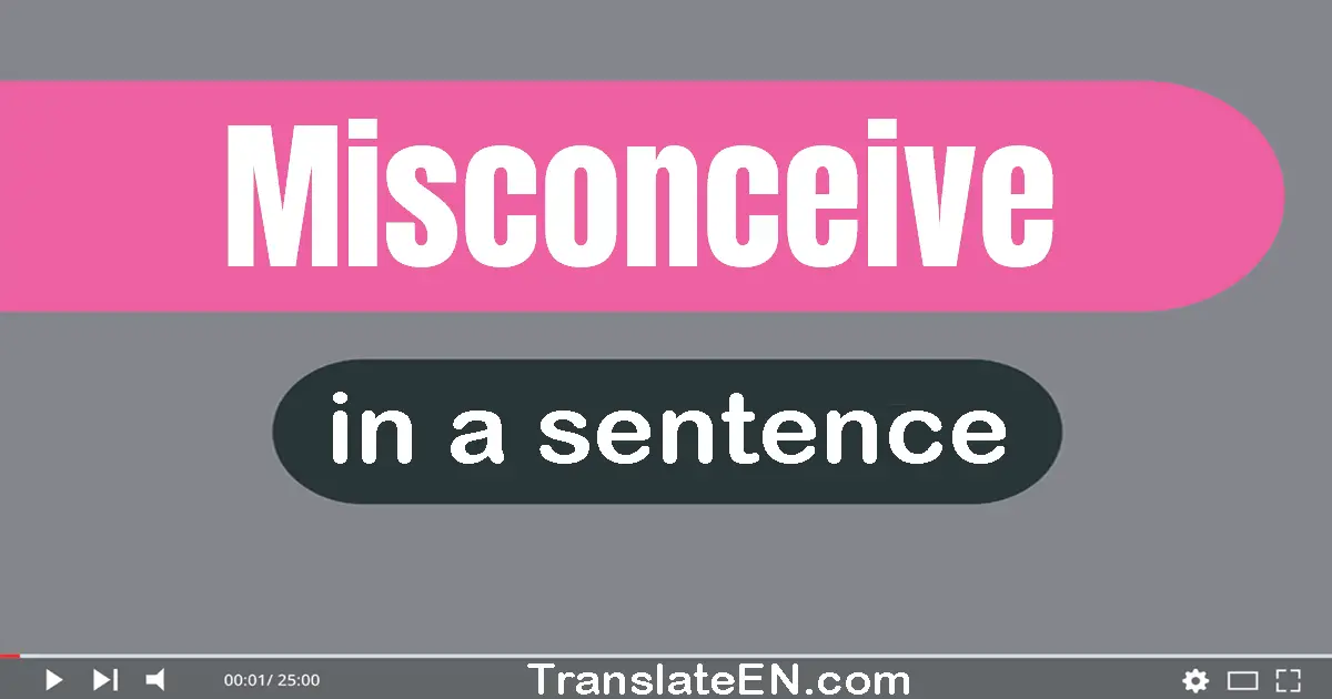 Misconceive in a sentence