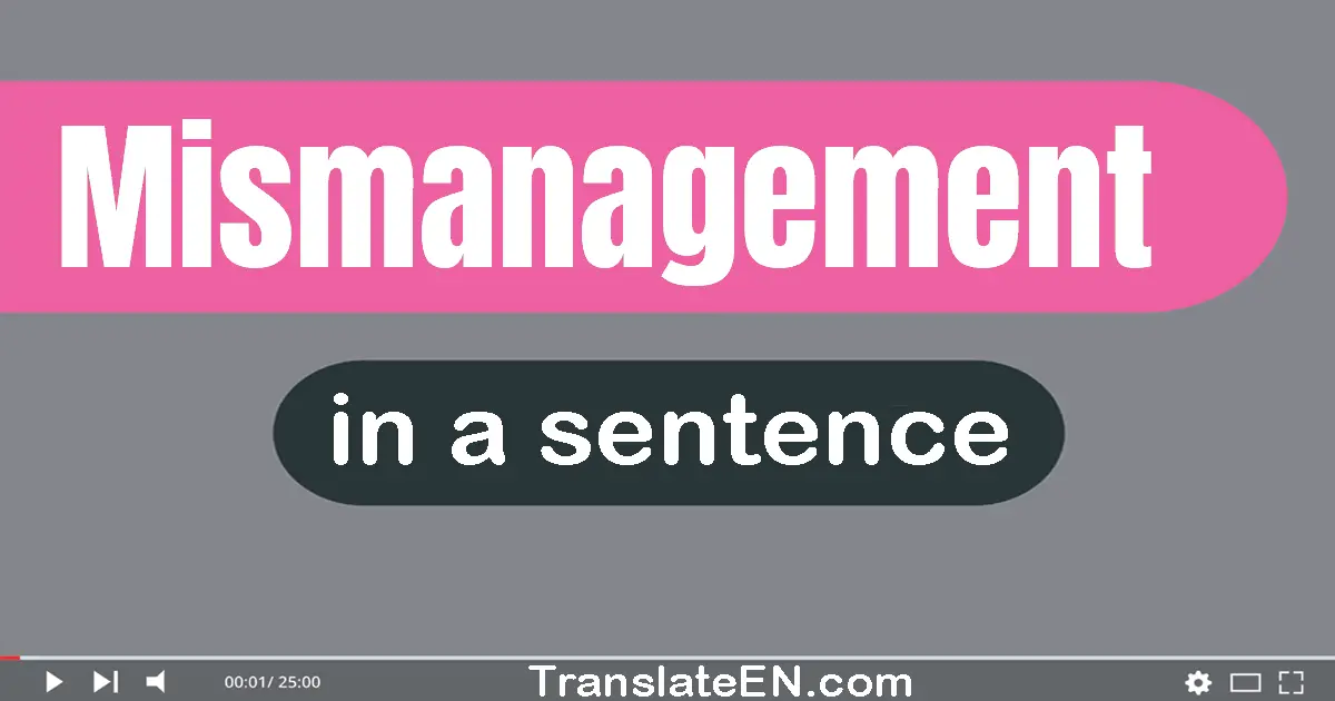 Mismanagement in a sentence