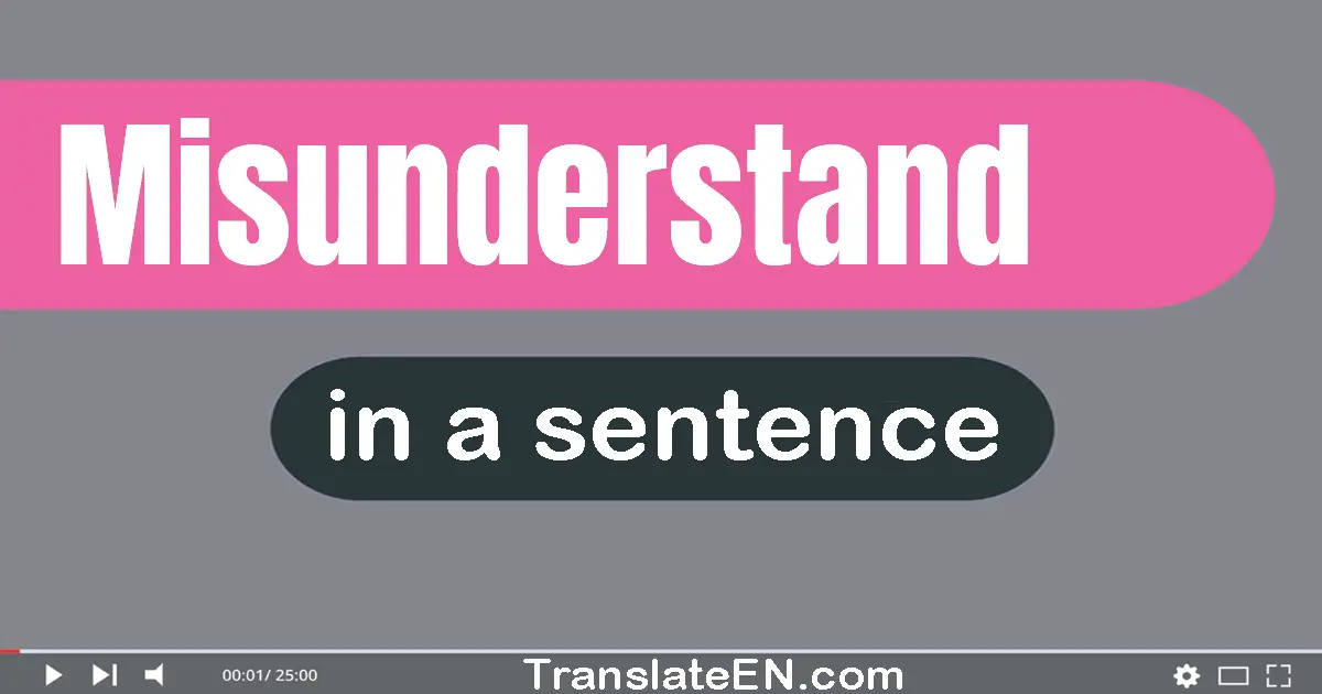 Use "misunderstand" in a sentence | "misunderstand" sentence examples