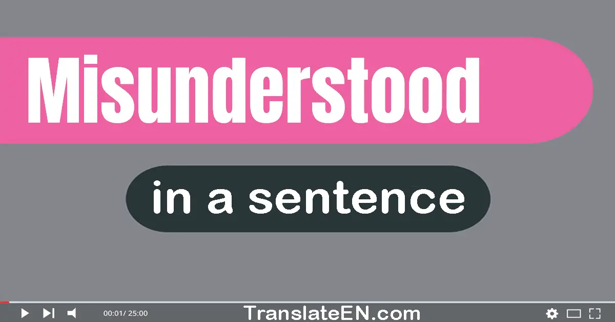 Use "misunderstood" in a sentence | "misunderstood" sentence examples