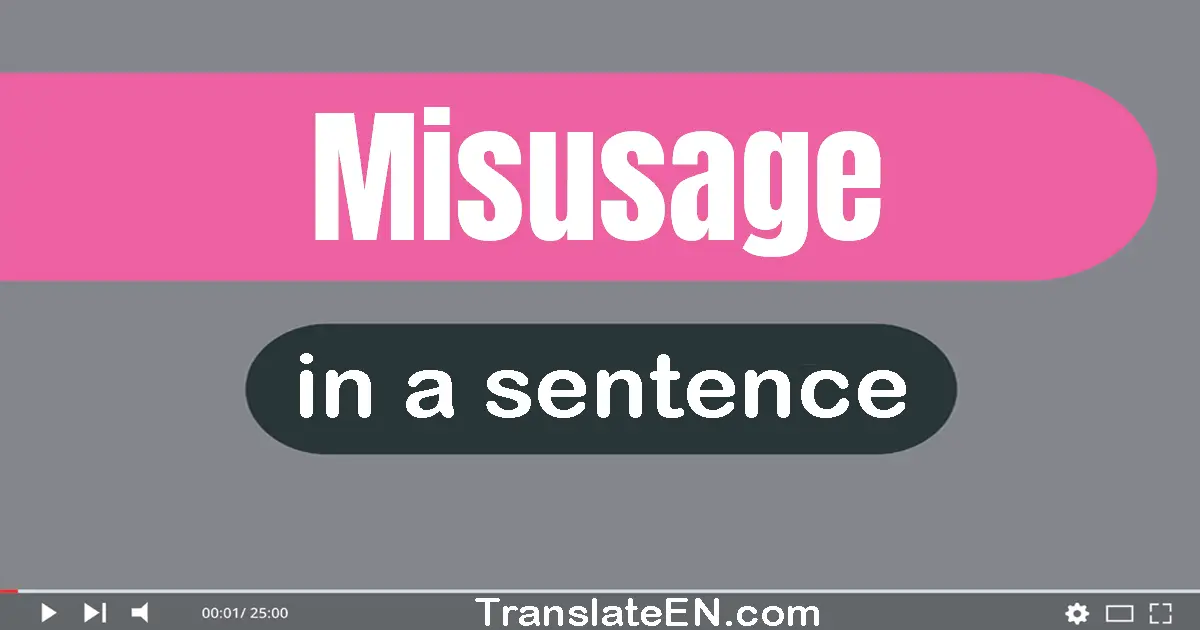 Use "misusage" in a sentence | "misusage" sentence examples