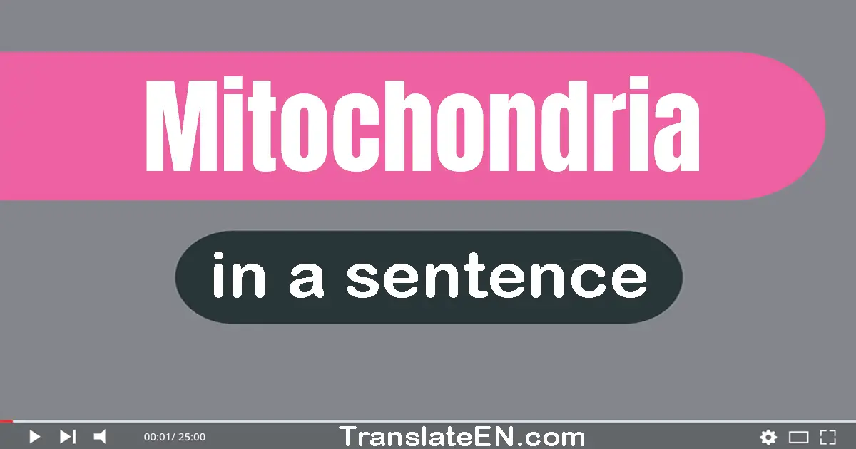 Use "mitochondria" in a sentence | "mitochondria" sentence examples