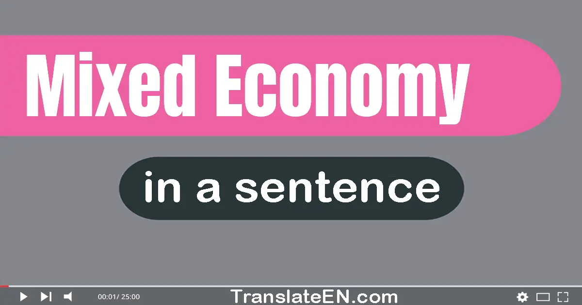 Use "mixed economy" in a sentence | "mixed economy" sentence examples