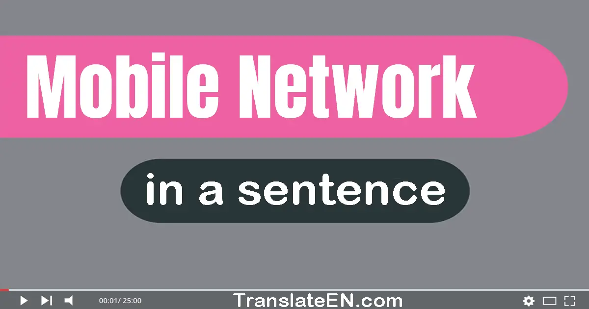 Use "mobile network" in a sentence | "mobile network" sentence examples
