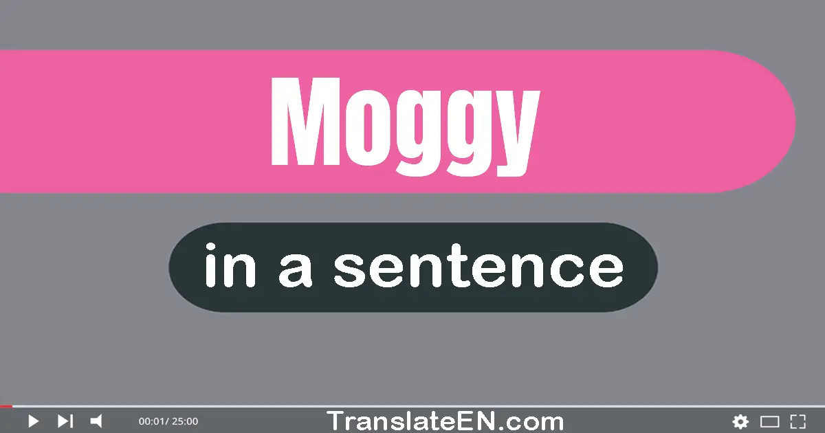 Moggy in a sentence