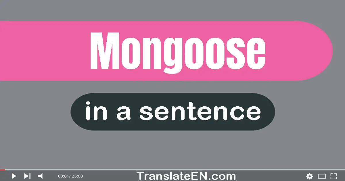 Mongoose in a sentence