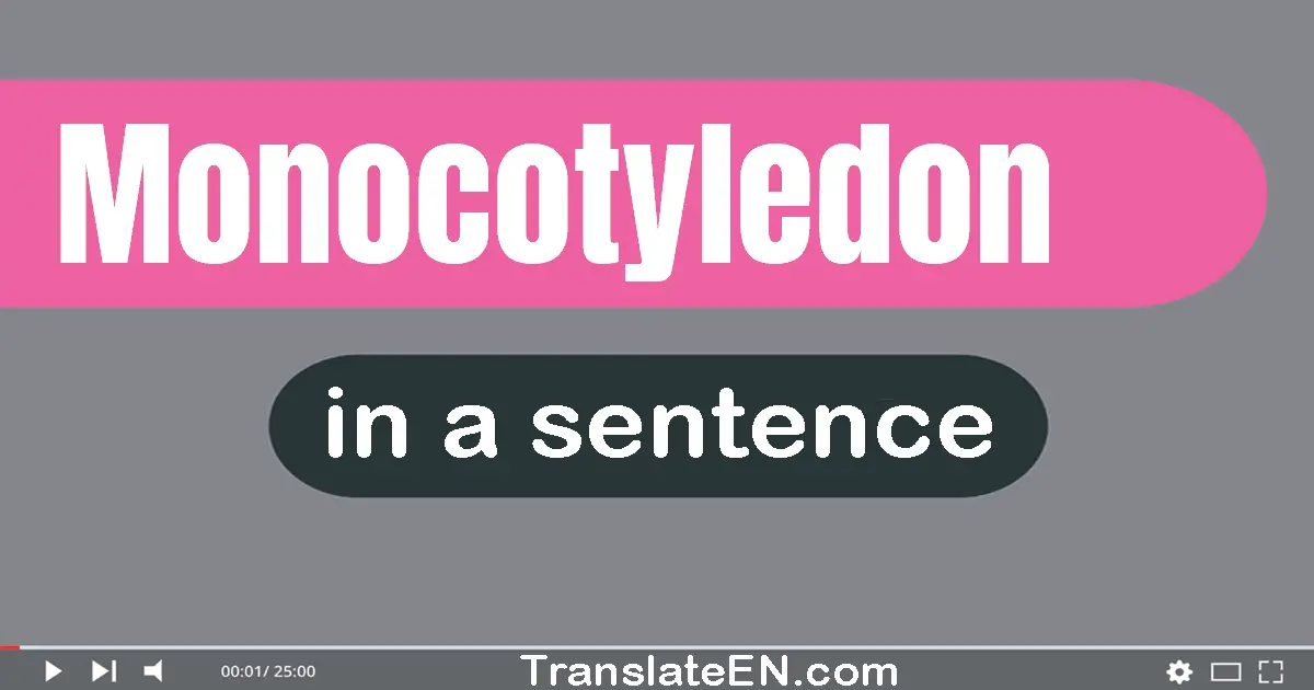 Monocotyledon in a sentence