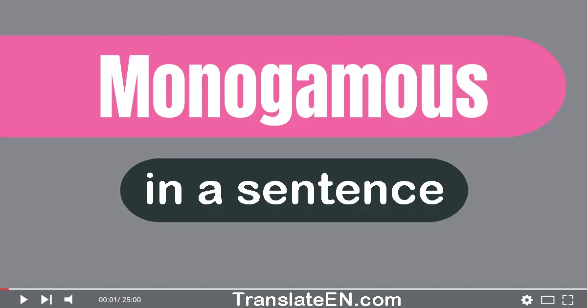 Monogamous in a sentence