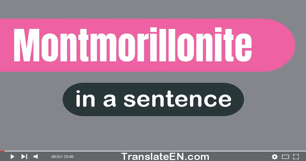 Montmorillonite in a sentence