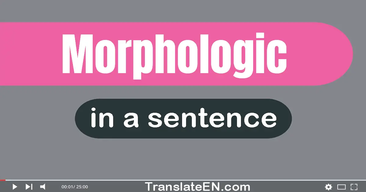 Morphologic in a sentence